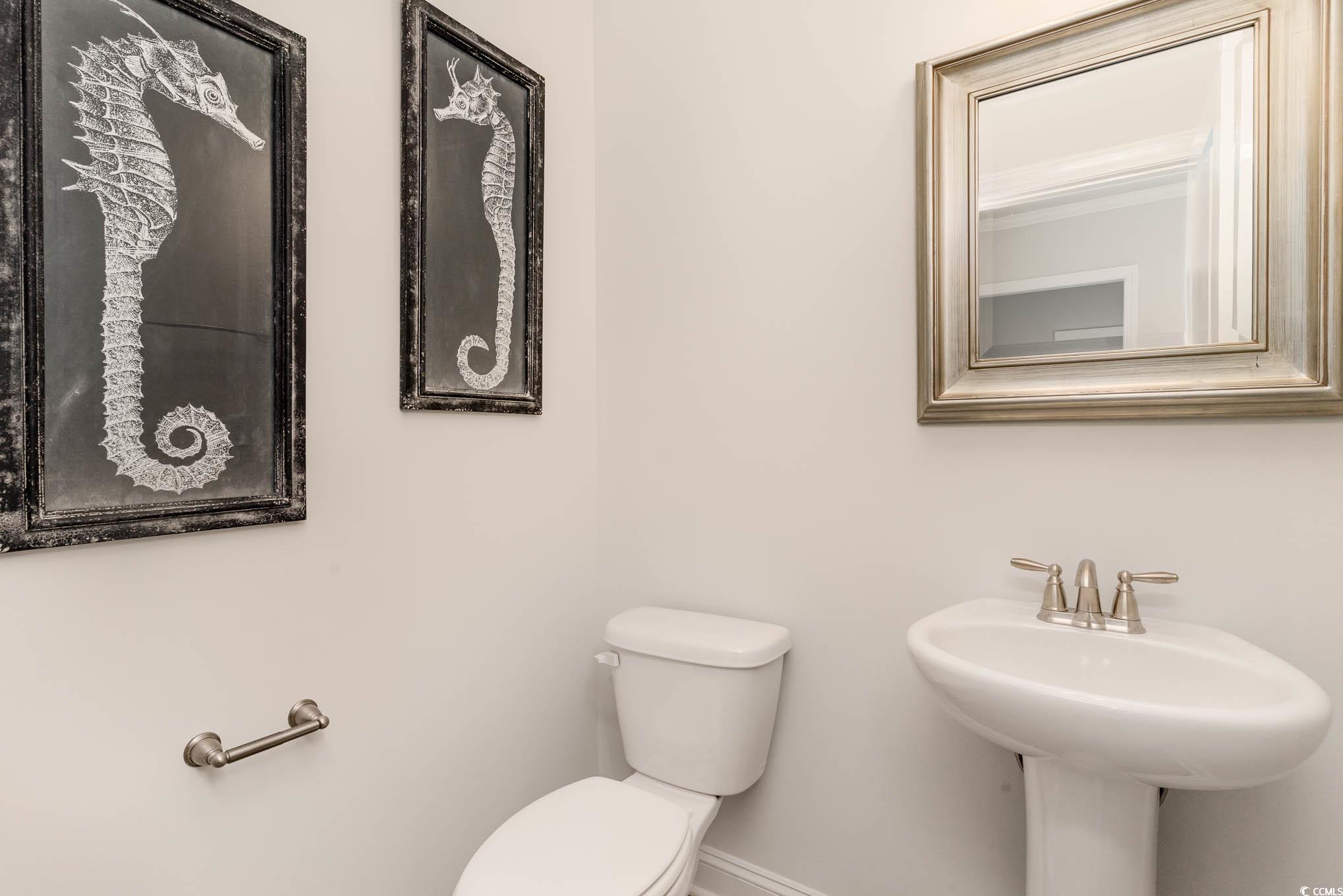 7051 Shooting Star Way Myrtle Beach, SC 29579 - Photo 8 of 22 Gallery Image 8