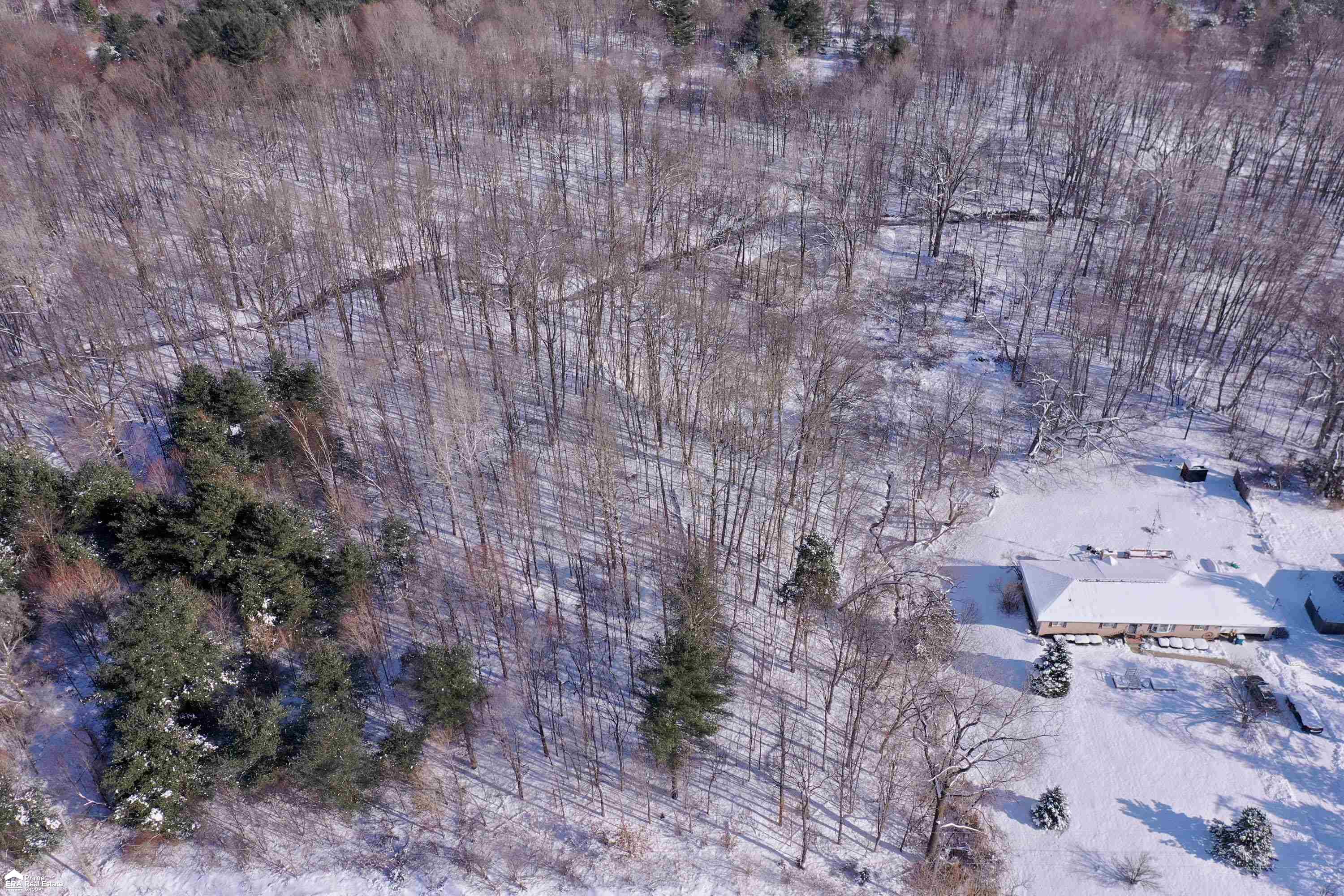 V/l River Grove Road Flushing, MI 48433 - Photo 6 of 10