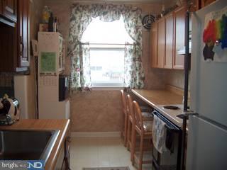 4063 Lasher Road Drexel Hill, PA 19026 - Photo 4 of 6 Gallery Image 4
