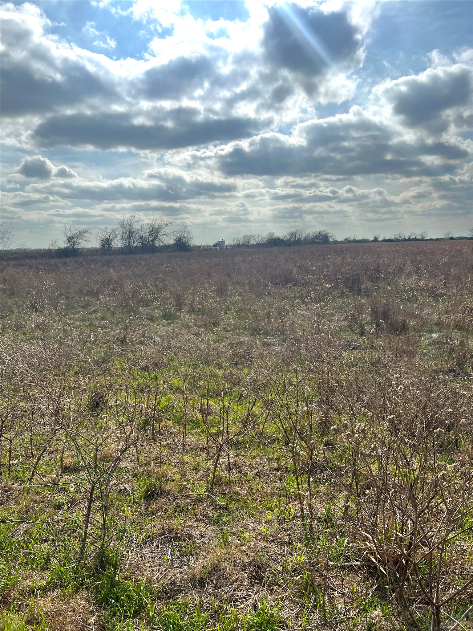 Tbd Lot 2 Tbd Road Eagle Lake, TX 77434 - Photo 6 of 24 Expansive natural landscape featuring varied vegetation under a partially cloudy sky