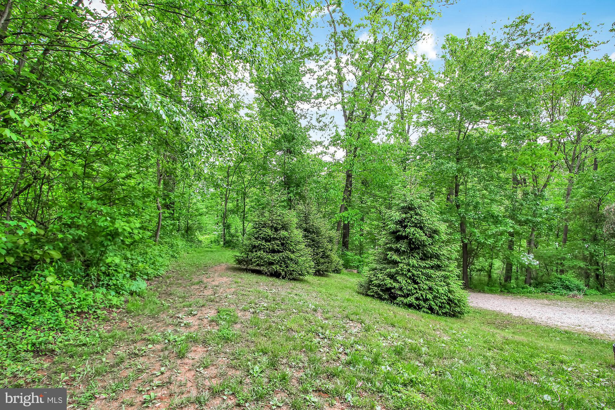 725 Garvine Mill Road Fawn Grove, PA 17321 - Photo 24 of 26 Backyard