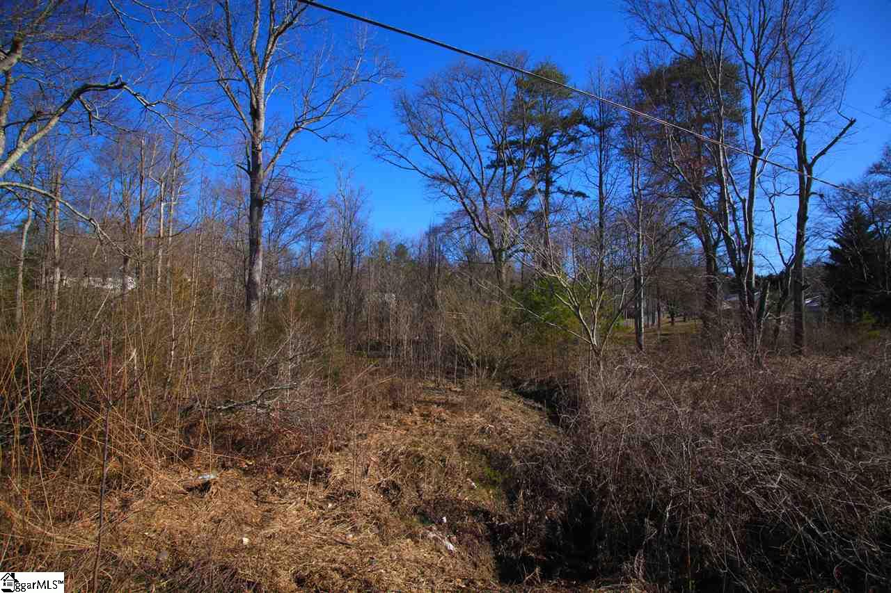 2.32-ac Off Pumpkintown Road Marietta, SC 29661 - Photo 3 of 9 Gallery Image 3