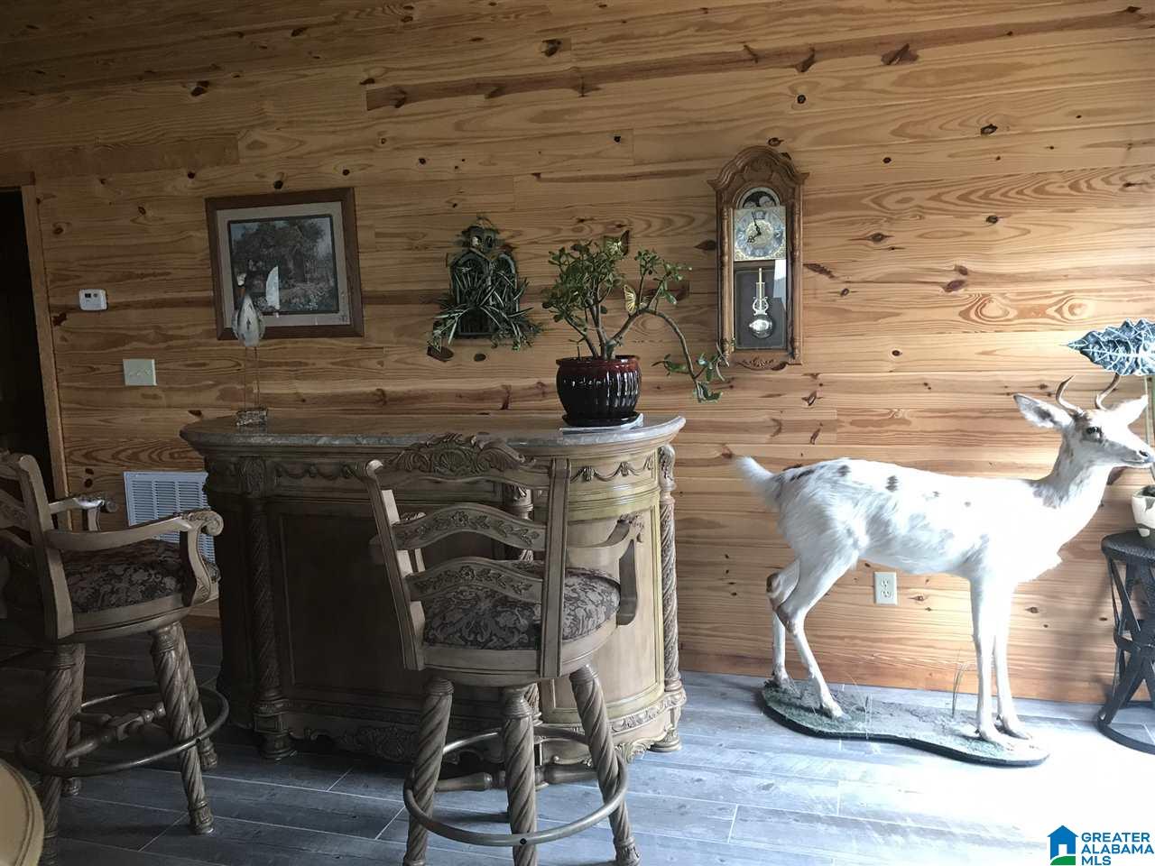 925 County Road 642 Cedar Bluff, AL 35959 - Photo 22 of 44