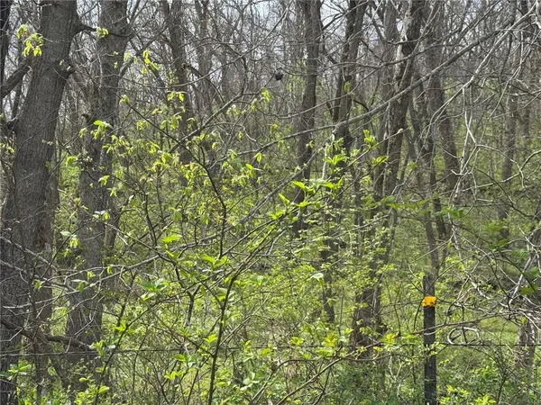$120,000 | Tbd Northwest 900th Road, Warrensburg, MO 64093