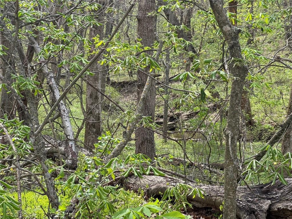 Tbd Northwest 900th Road Warrensburg, MO 64093 - Photo 2 of 6