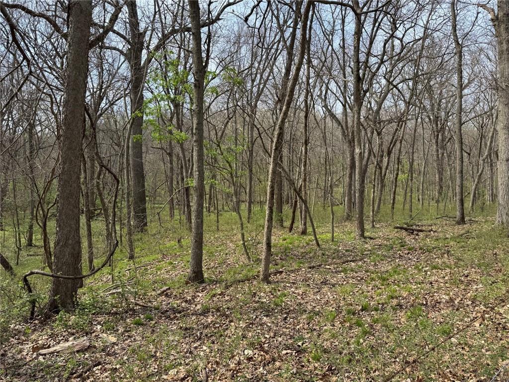 Tbd Northwest 900th Road Warrensburg, MO 64093 - Photo 3 of 6