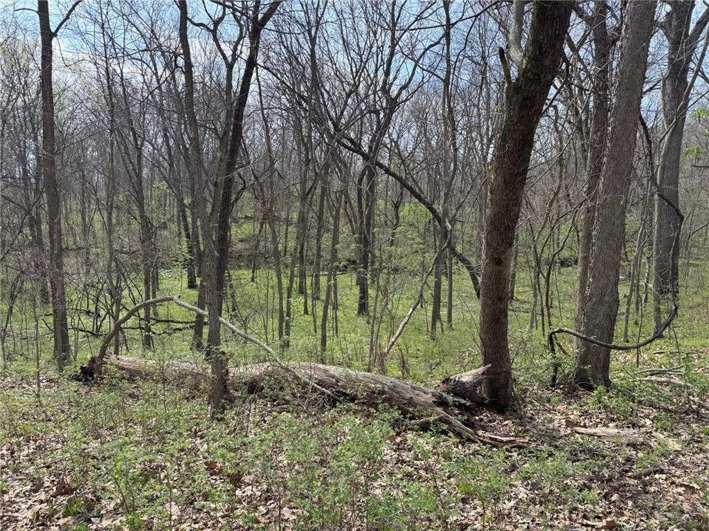 Tbd Northwest 900th Road Warrensburg, MO 64093 - Photo 4 of 6