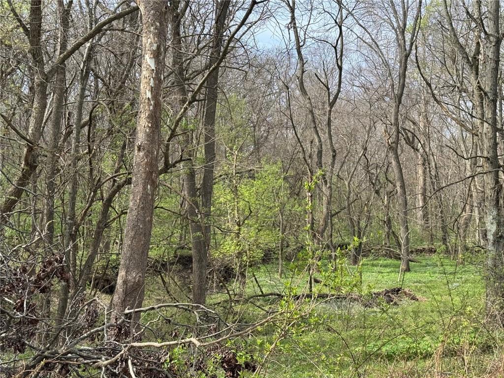 Tbd Northwest 900th Road Warrensburg, MO 64093 - Photo 5 of 6