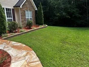 a backyard of a house with lots of green space and plants