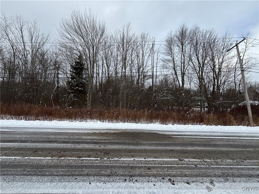 Honey Hill Road Fulton, NY 13069 - Photo 1 of 10