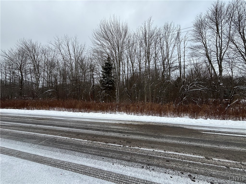 Honey Hill Road Fulton, NY 13069 - Photo 3 of 10