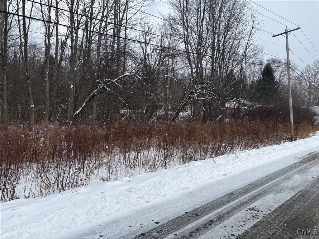 Honey Hill Road Fulton, NY 13069 - Photo 6 of 10