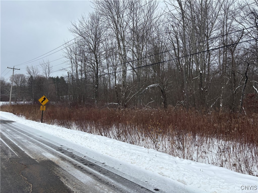 Honey Hill Road Fulton, NY 13069 - Photo 7 of 10