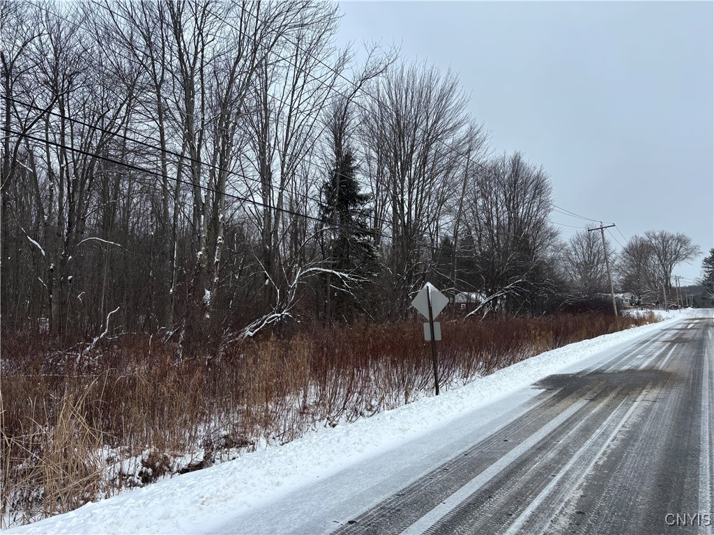 Honey Hill Road Fulton, NY 13069 - Photo 8 of 10