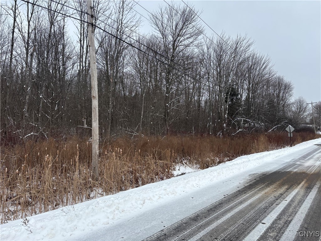 Honey Hill Road Fulton, NY 13069 - Photo 9 of 10