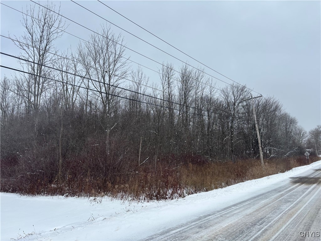 Honey Hill Road Fulton, NY 13069 - Photo 10 of 10