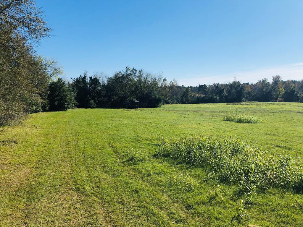 63 Medwell Hill Road Aiken, SC 29803 - Photo 5 of 6