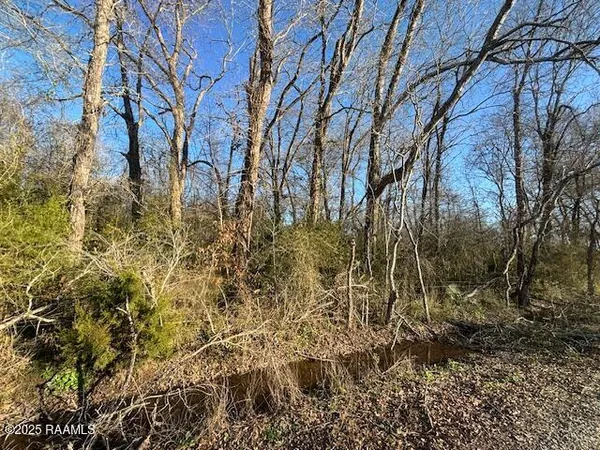 $140,000 | 0 Heard Sylvester Road, Washington, LA 70589