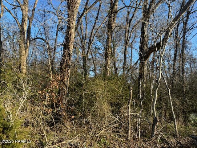 0 Heard Sylvester Road Washington, LA 70589 - Photo 3 of 6 IMG_3636