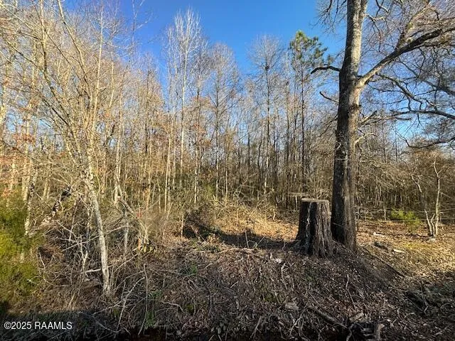 $154,000 | 0 Heard Sylvester Road, Washington, LA 70589