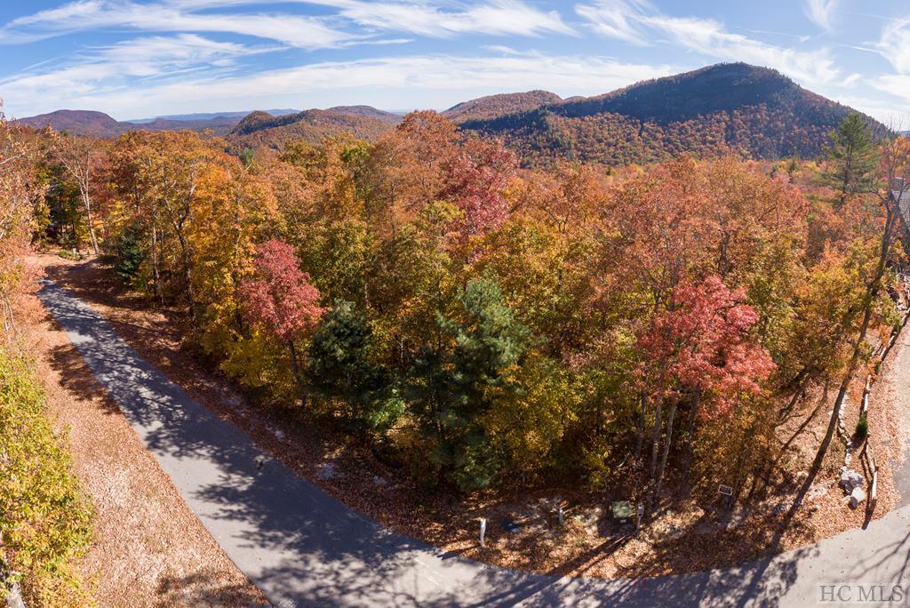 Lot 14 East Ridge Road Cashiers, NC 28717 - Photo 7 of 14 Gallery Image 7