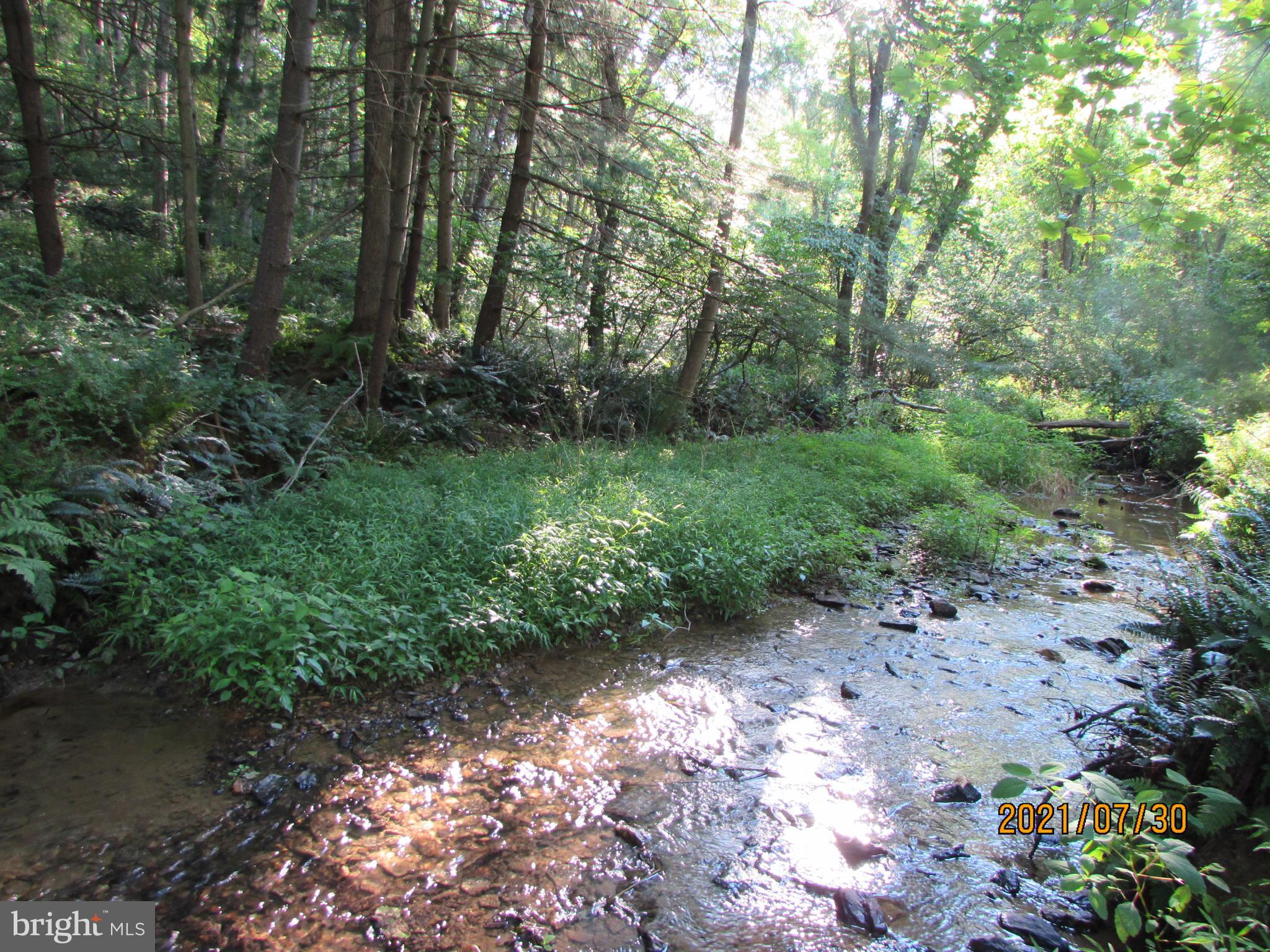 16308 Falls Road Upperco, MD 21155 - Photo 21 of 92 Nature lovers dream stream on property