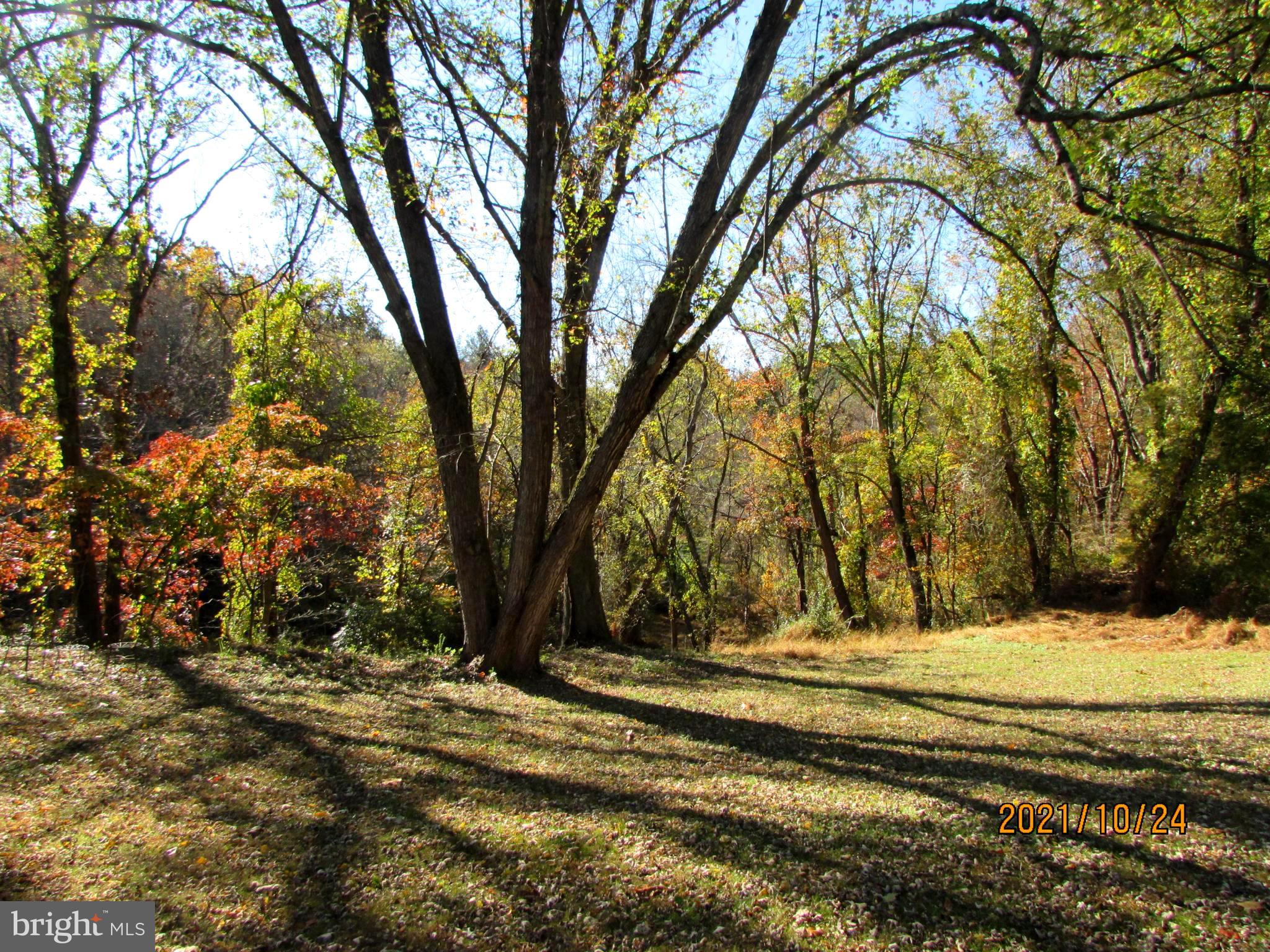 16308 Falls Road Upperco, MD 21155 - Photo 23 of 92 an Autumn paradise