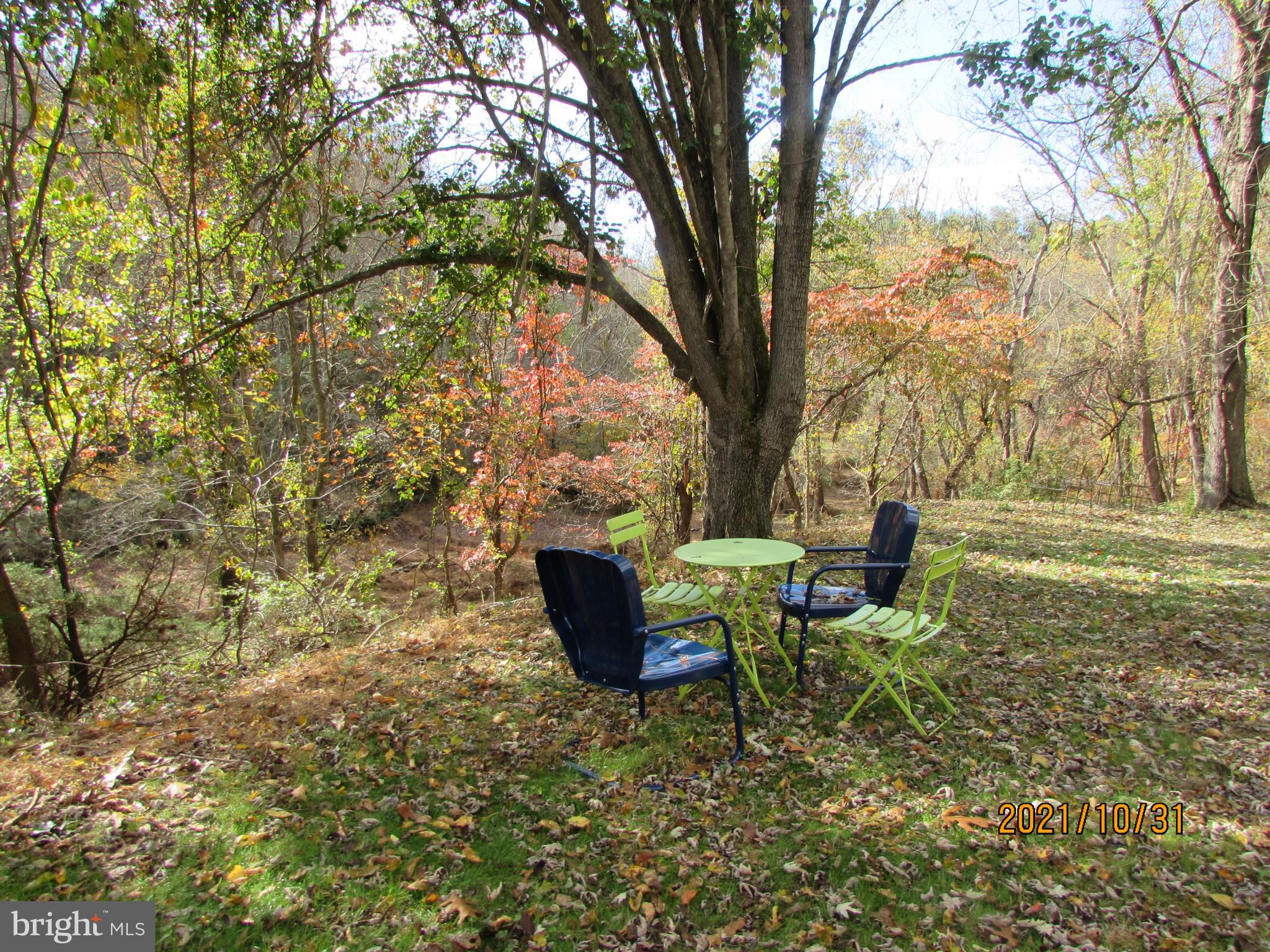 16308 Falls Road Upperco, MD 21155 - Photo 24 of 92 truly a nature lovers paradise