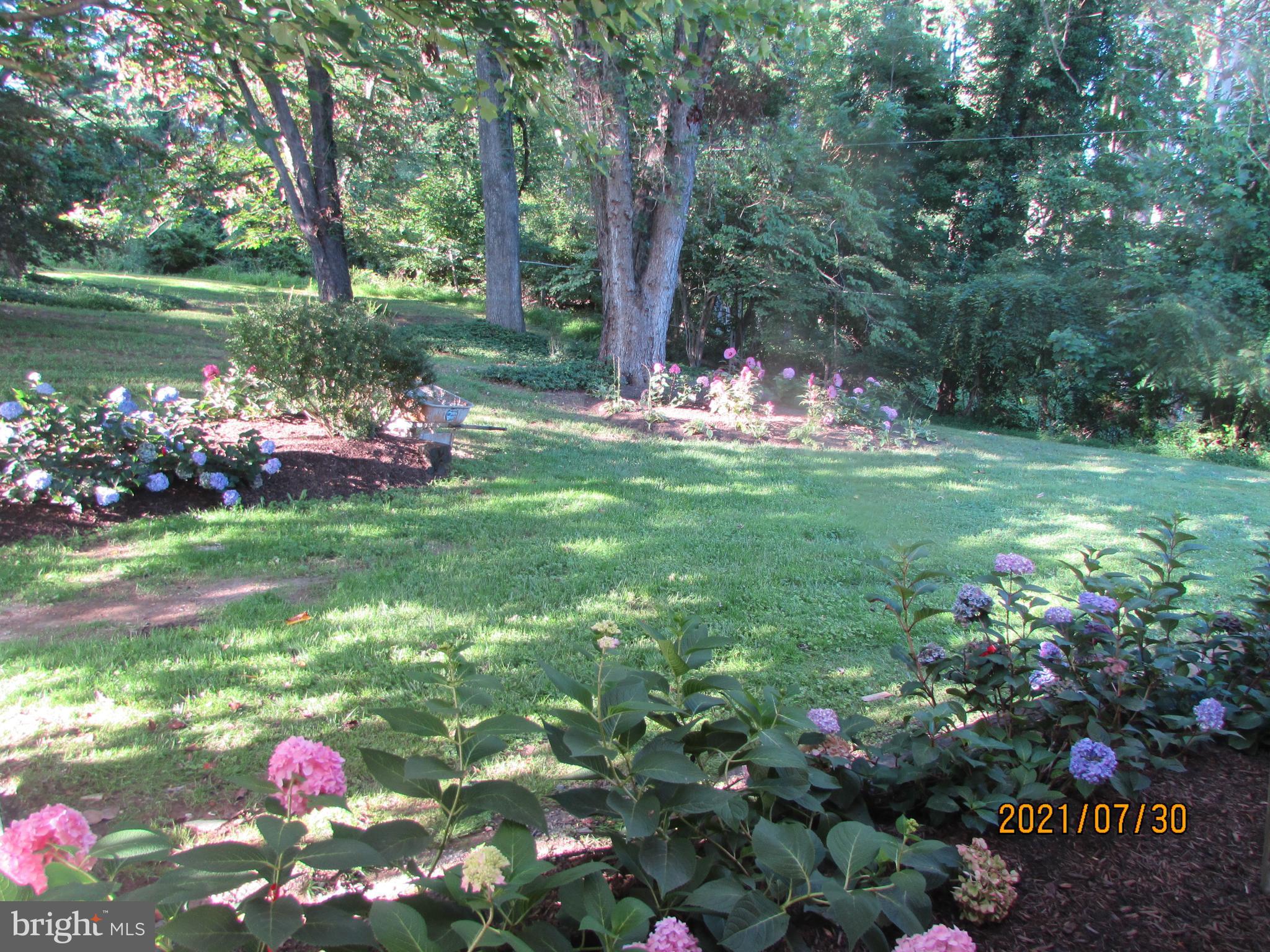 16308 Falls Road Upperco, MD 21155 - Photo 27 of 92 hydrangeas blooming all summer