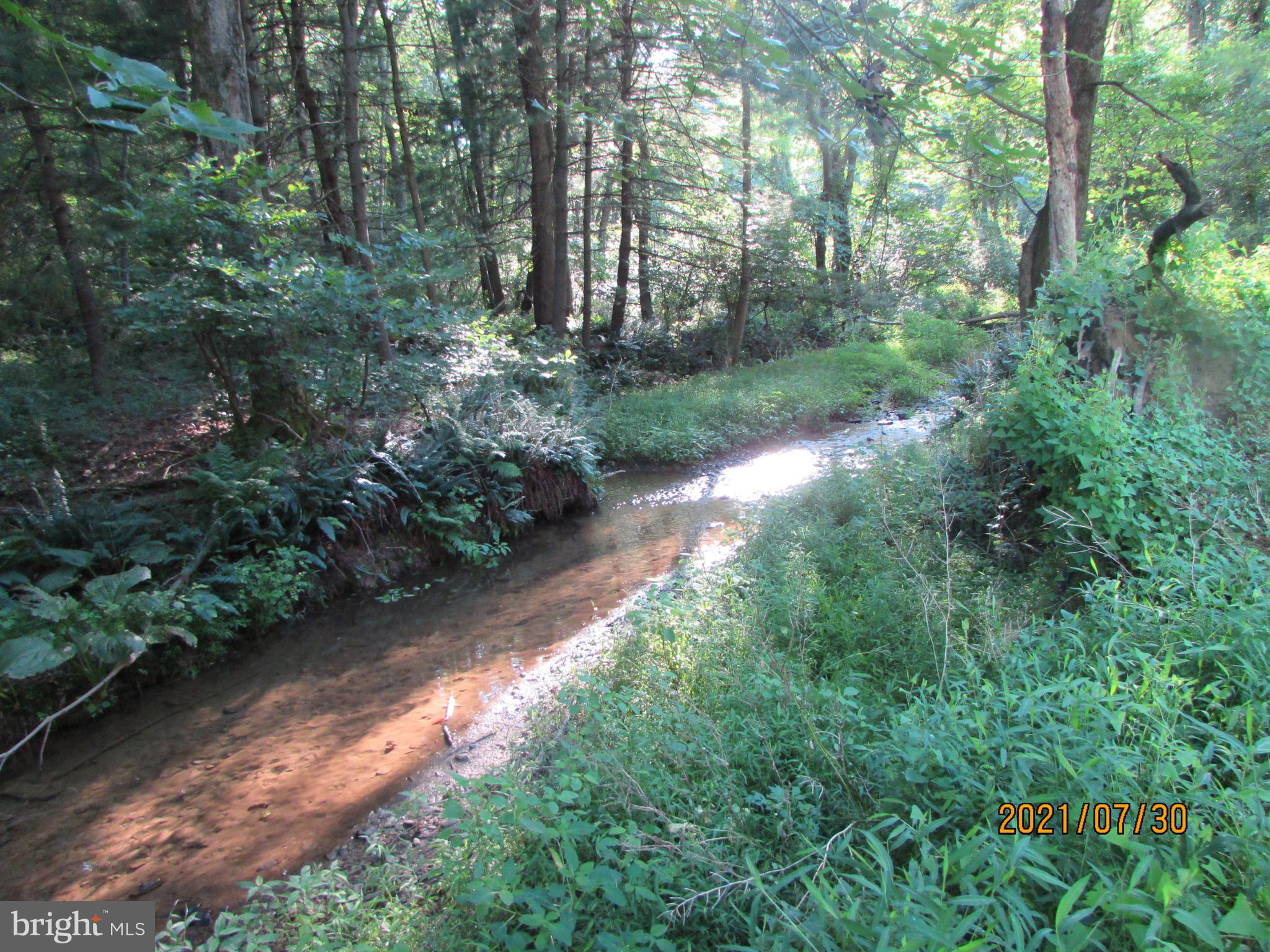 16308 Falls Road Upperco, MD 21155 - Photo 76 of 92 walk down to your stream and enjoy nature