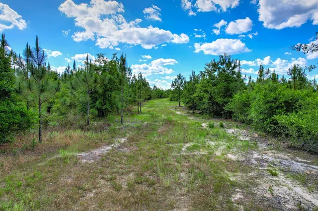 $2,856,000 | 420-acres North 420-acres N Columbia Hwy Ridge Spring, Aiken, SC 29805