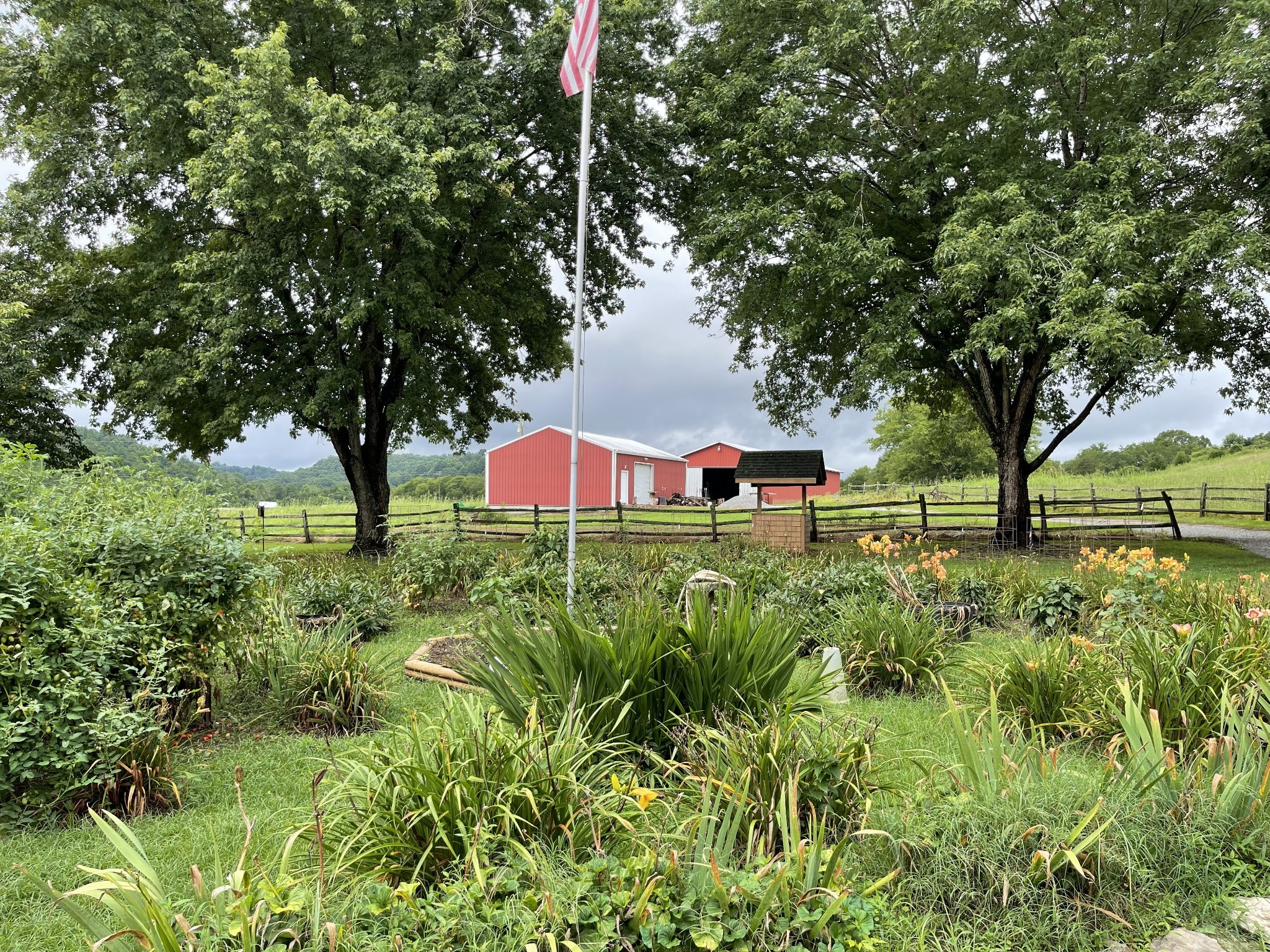 2058 Bodenham Road Pulaski, TN 38478 - Photo 5 of 38 a view of a garden