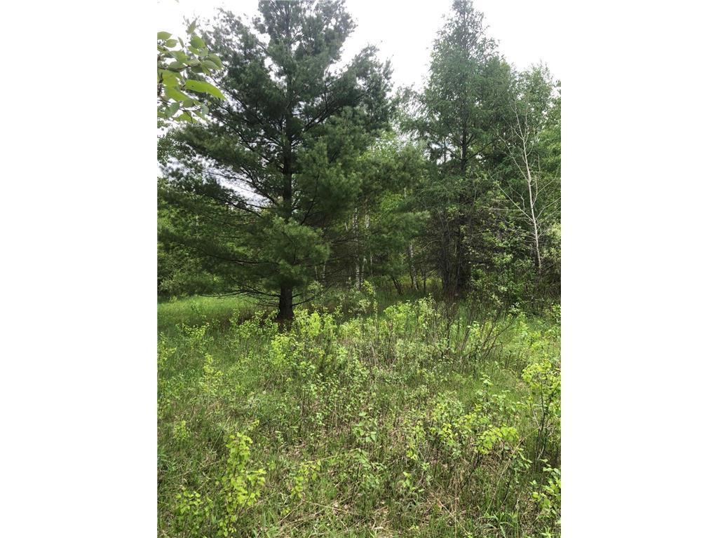 31603 Brook Park Road Brook Park, MN 55007 - Photo 20 of 38