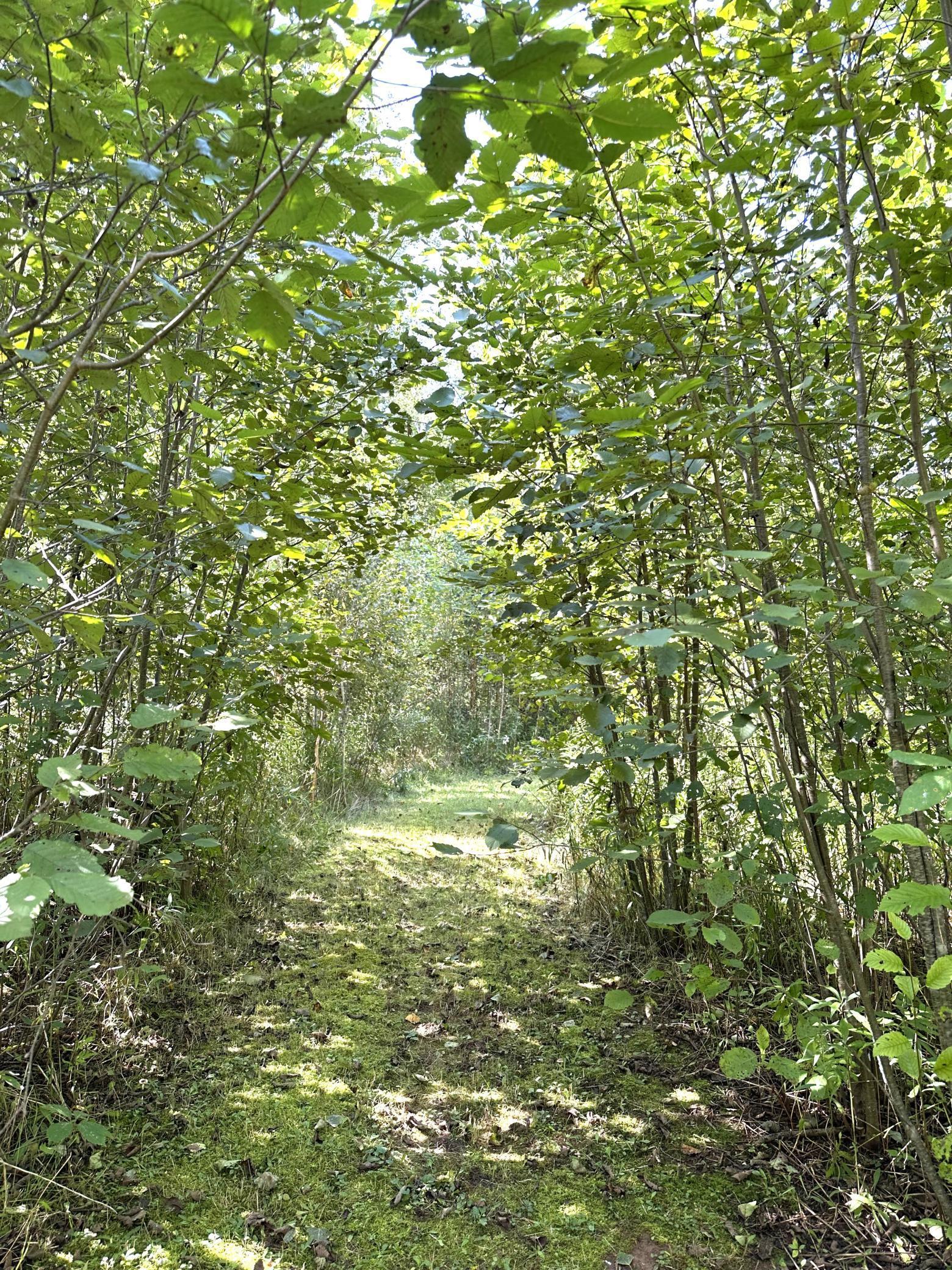 31603 Brook Park Road Brook Park, MN 55007 - Photo 27 of 38