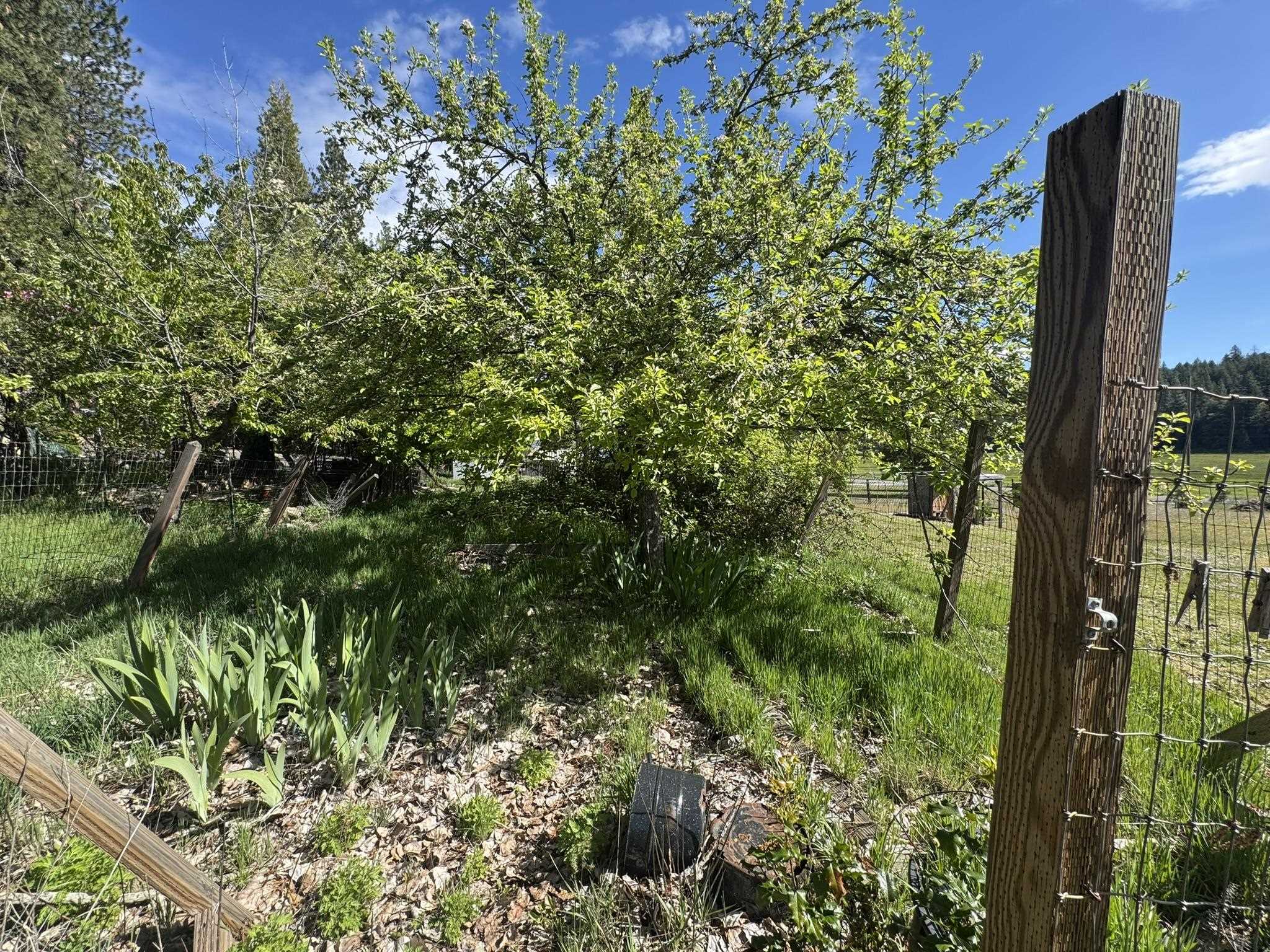 17347 Mountain View Road Greenville, CA 95947 - Photo 27 of 33