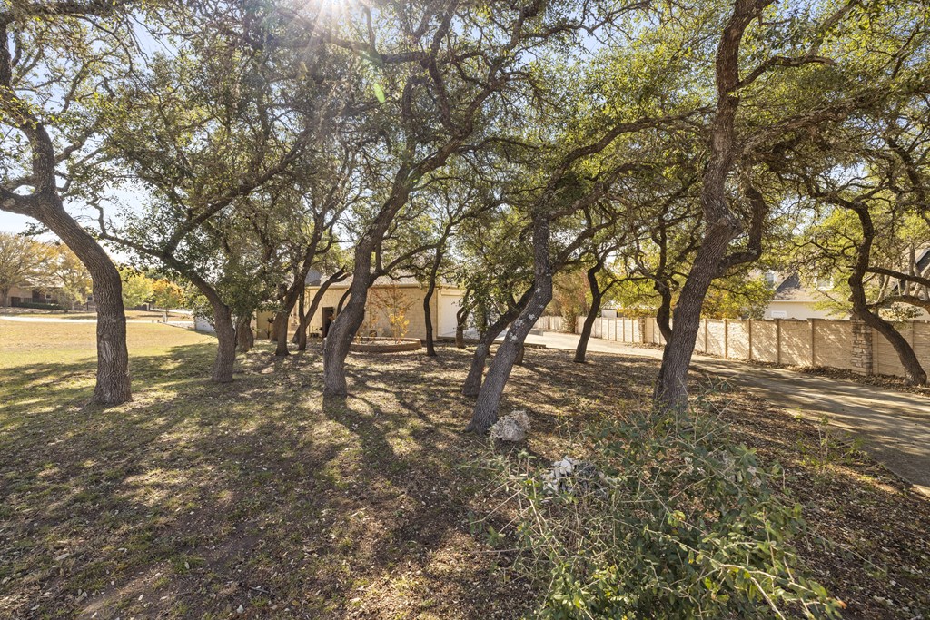 150 St Andrews Loop Kerrville, TX 78028 - Photo 27 of 27 a view of yard with trees