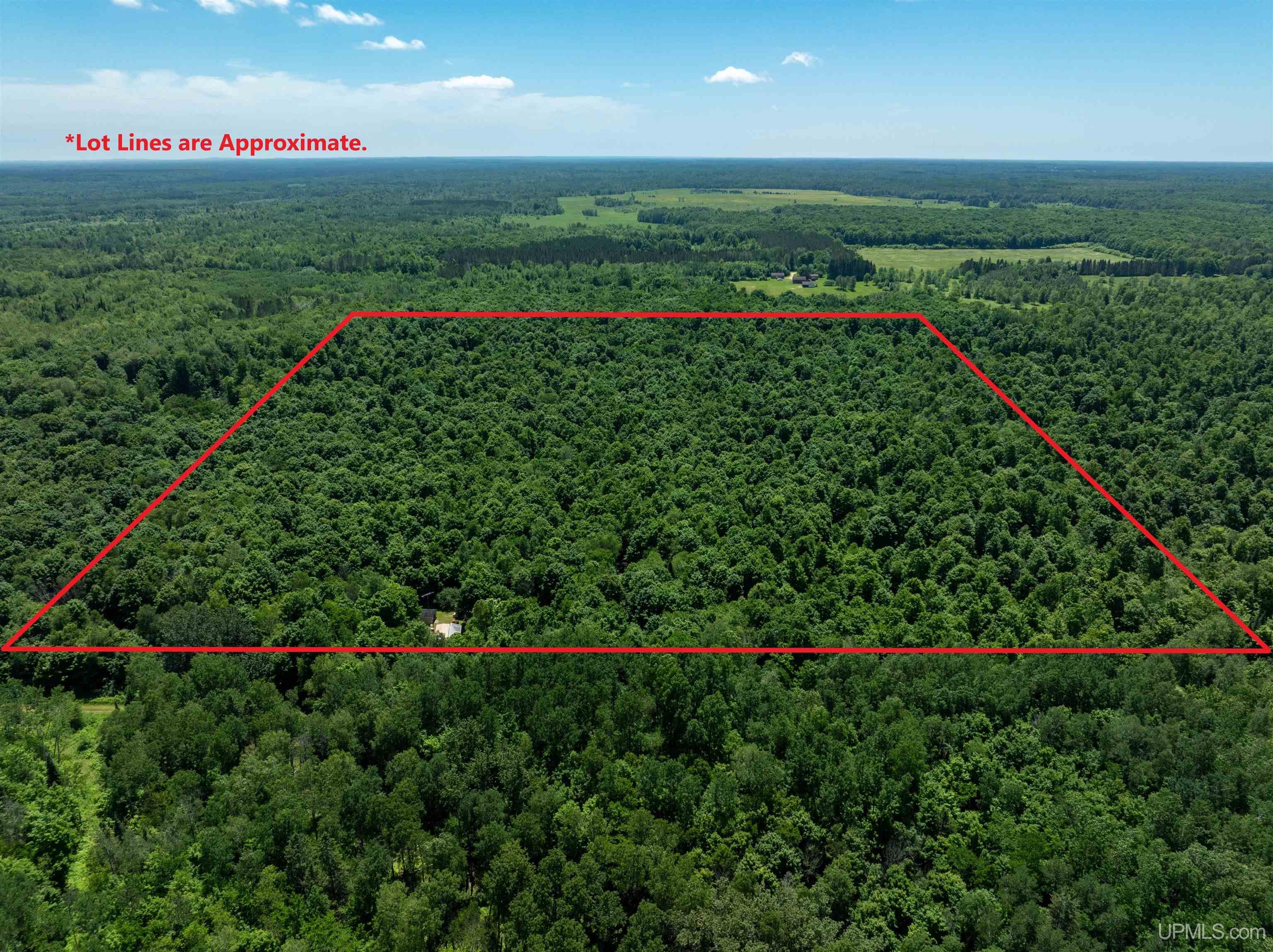 E4381 23 Road Chatham, MI 49816 - Photo 24 of 59