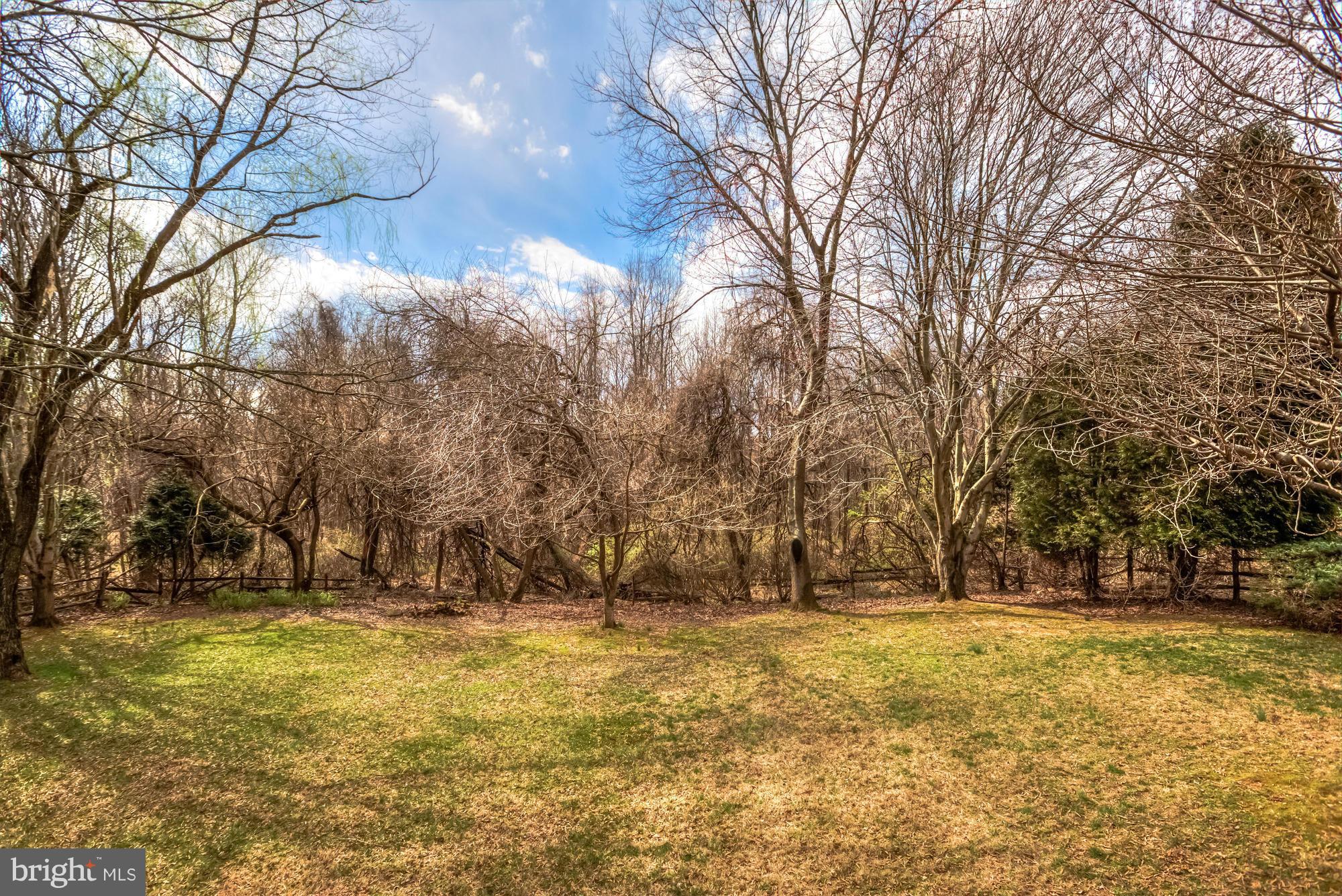 1200 Winter Hunt Road McLean, VA 22102 - Photo 24 of 25 Backyard