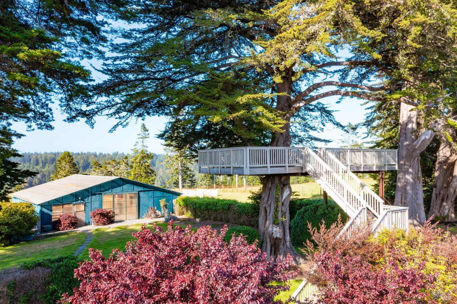 32550 Navarro Ridge Road Albion, CA 95410 - Photo 21 of 44