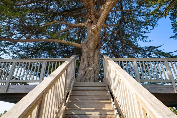 $1,995,000 | 32550 Navarro Ridge Road, Albion, CA 95410