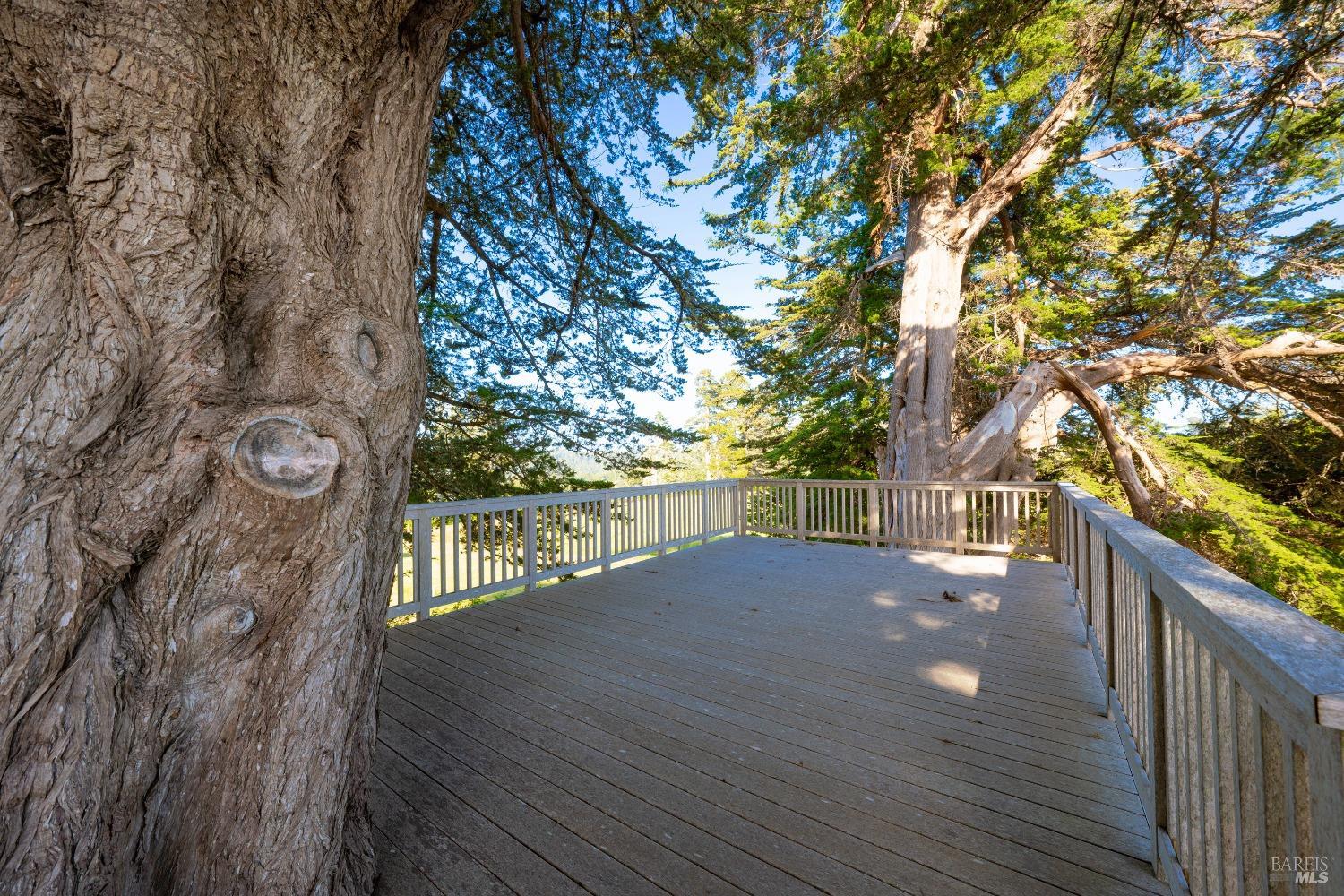 32550 Navarro Ridge Road Albion, CA 95410 - Photo 25 of 44