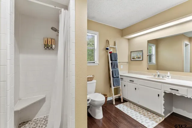 a bathroom with a toilet a sink and mirror