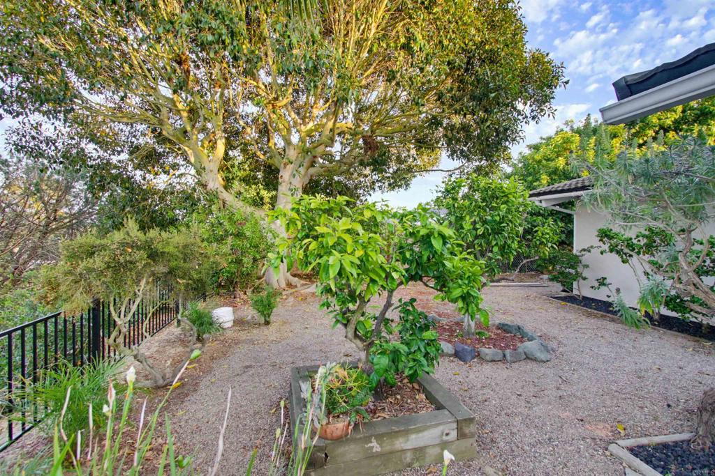 5605 Soledad Mountain Road La Jolla, CA 92037 - Photo 41 of 46