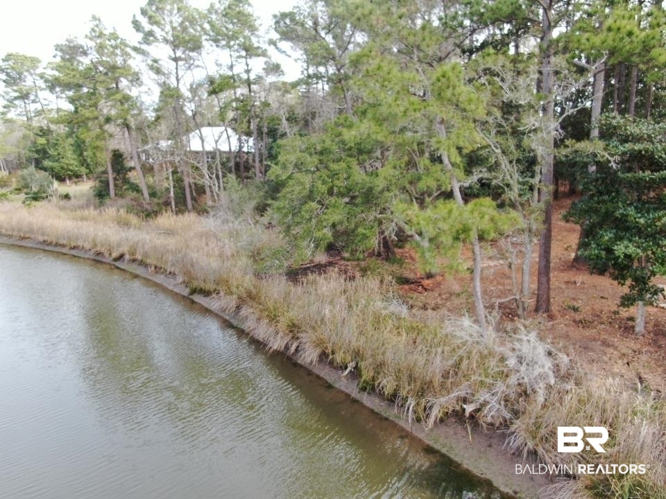 Riverview Nursery Road Theodore, AL 36582 - Photo 6 of 24