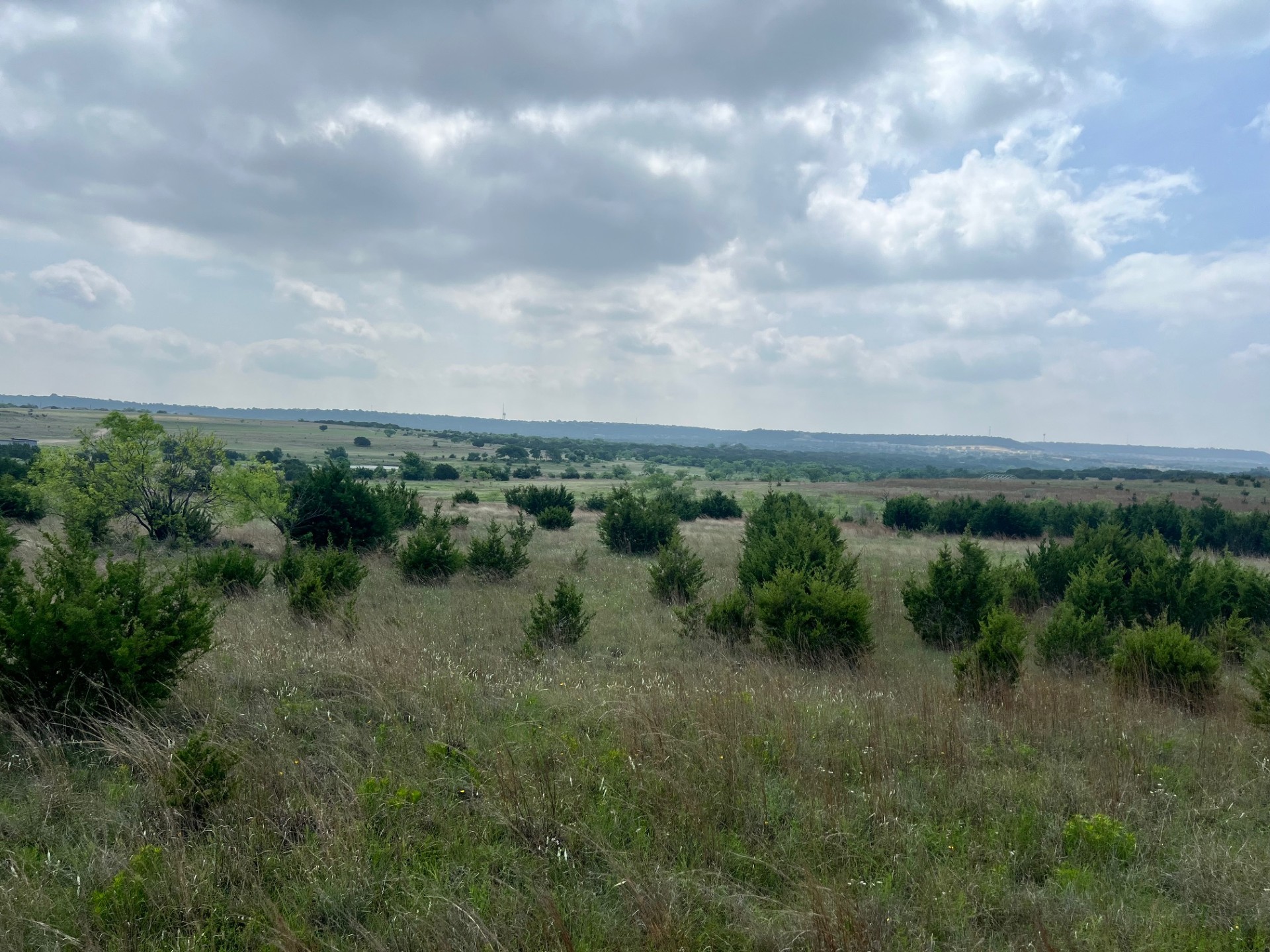 4847 County Road 3300 Kempner, TX 76539 - Photo 11 of 14 a view of a green field with lots of trees in it