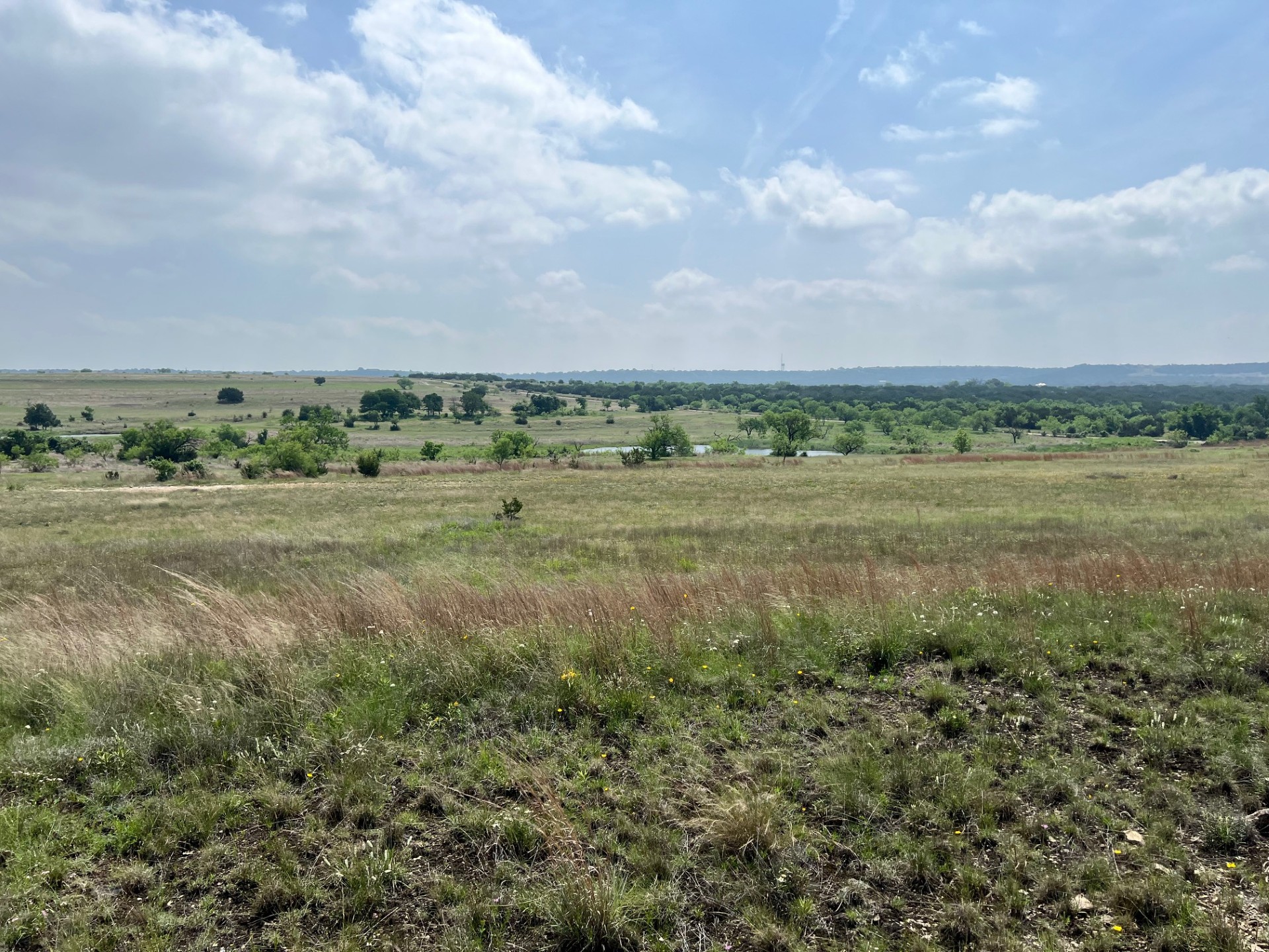 4847 County Road 3300 Kempner, TX 76539 - Photo 14 of 14 a view of a field with ocean and trees in background