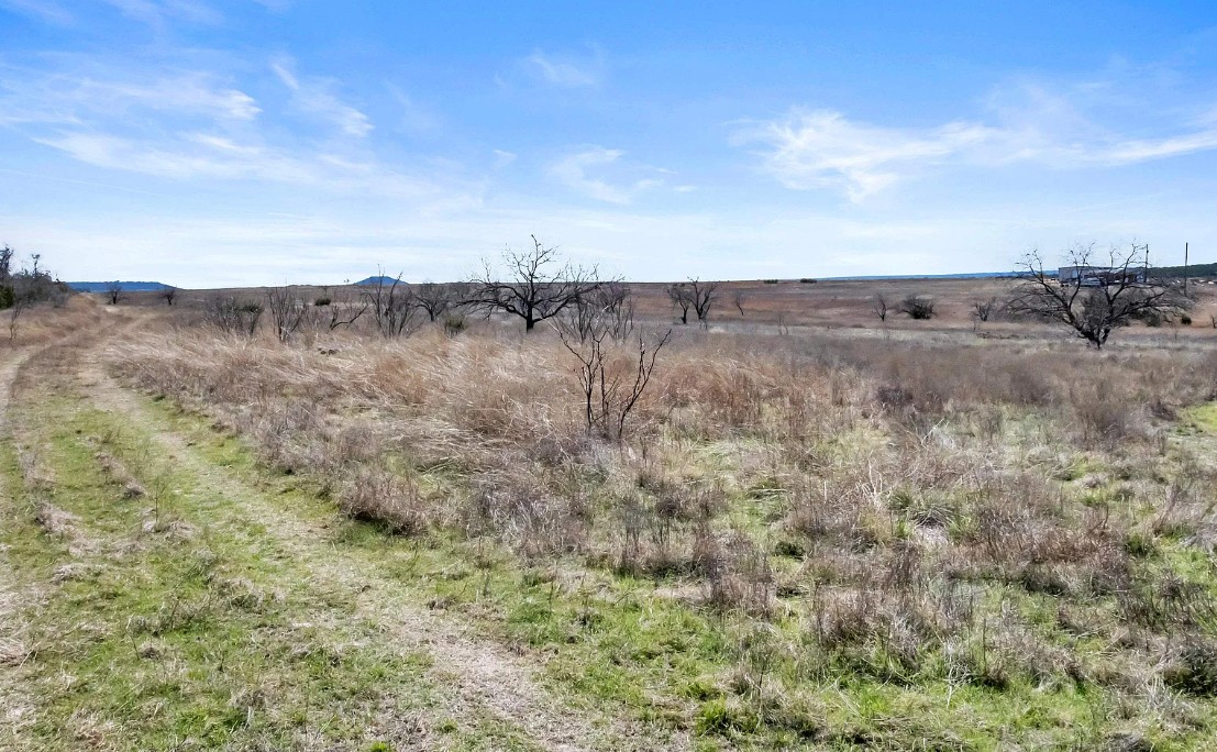 4847 County Road 3300 Kempner, TX 76539 - Photo 7 of 14 a view of a dry field with trees in the background