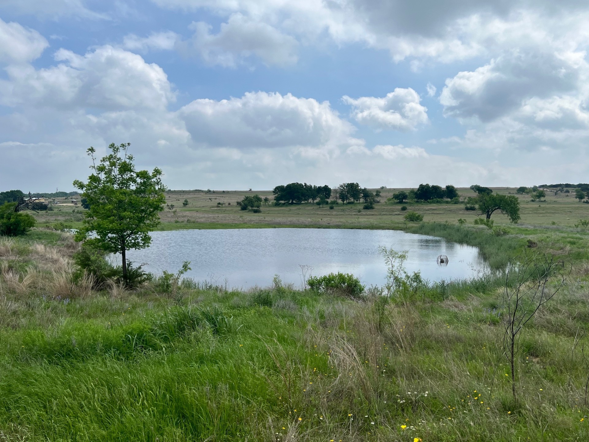 4847 County Road 3300 Kempner, TX 76539 - Photo 8 of 14 a view of a lake with houses in back