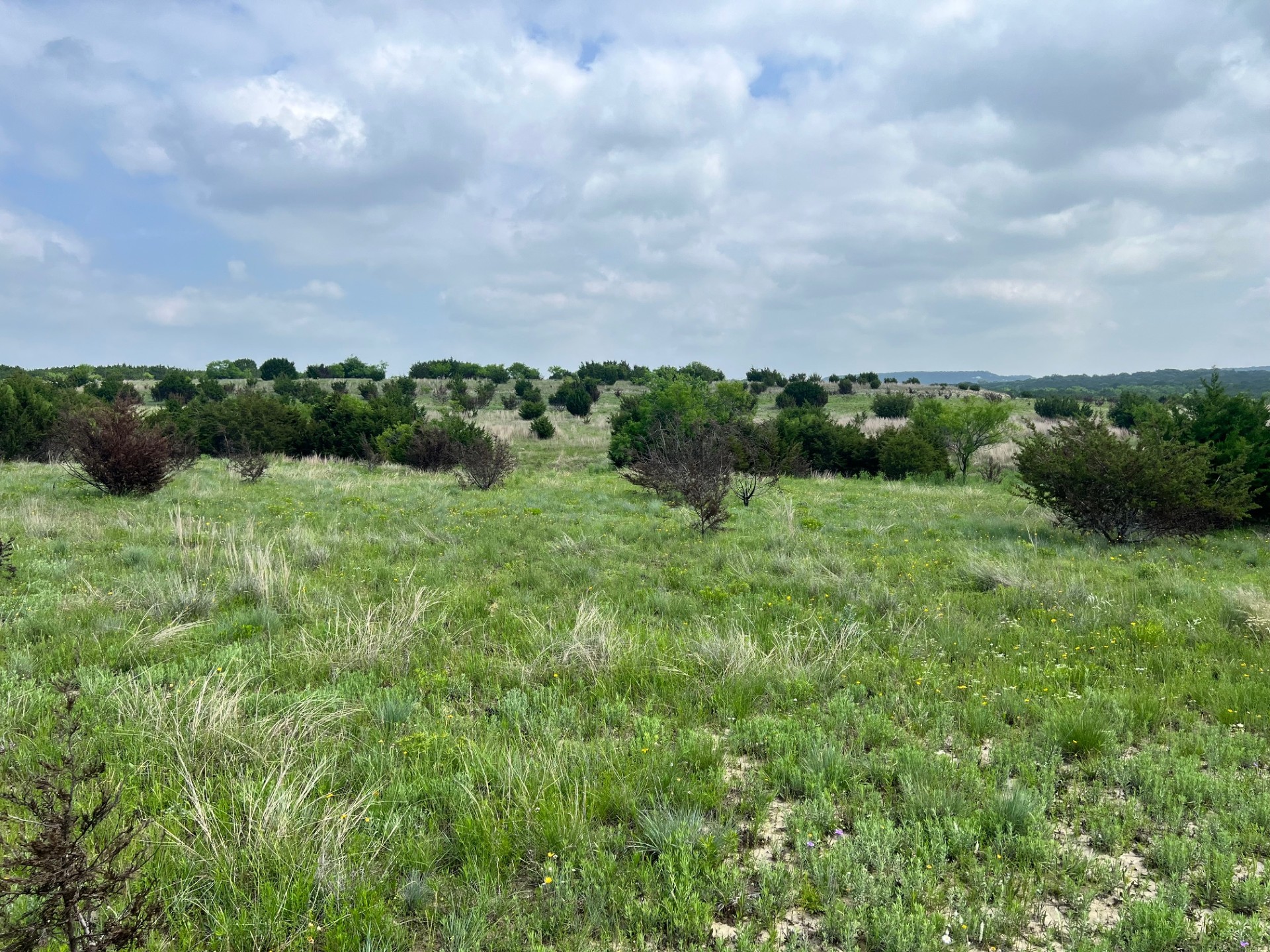 4847 County Road 3300 Kempner, TX 76539 - Photo 10 of 14 a view of a field of grass and trees