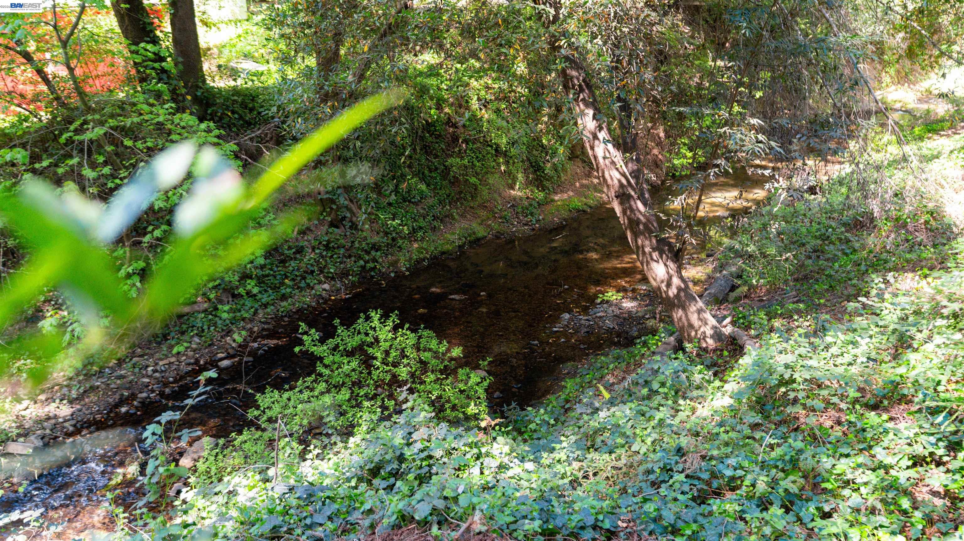 15765 Kings Creek Road Boulder Creek, CA 95006 - Photo 26 of 57